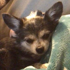 Meet your Posher, Brittany